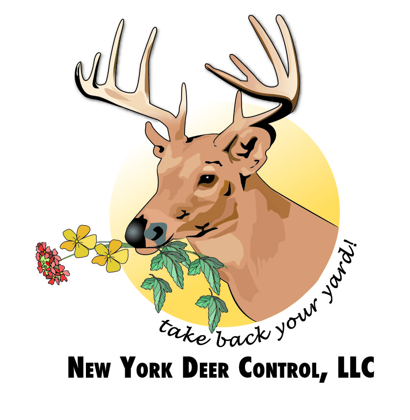 Avatar for New York Deer Control, LLC